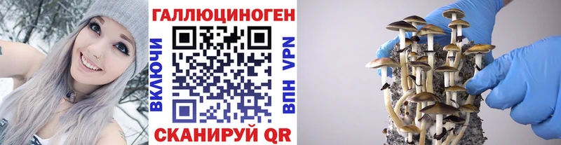 Галлюциногенные грибы прущие грибы наркотики Омутнинск